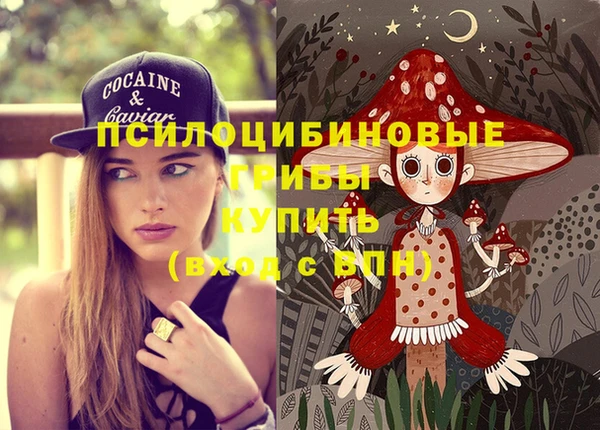 мдпв Каменск-Шахтинский